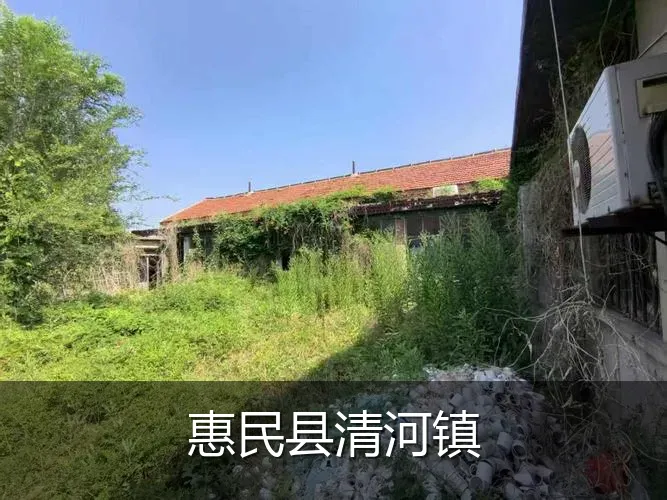 惠民县清河镇